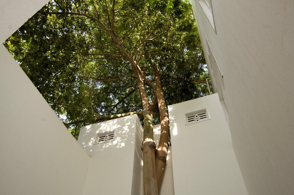 La Casa Del Piano Hotel Boutique By Xarm Hotels ซันตามาร์ตา ภายนอก รูปภาพ